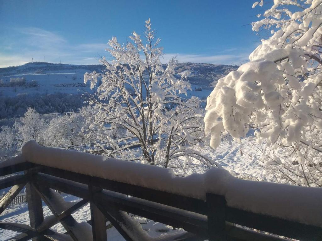 Садиба Лісова photo 3