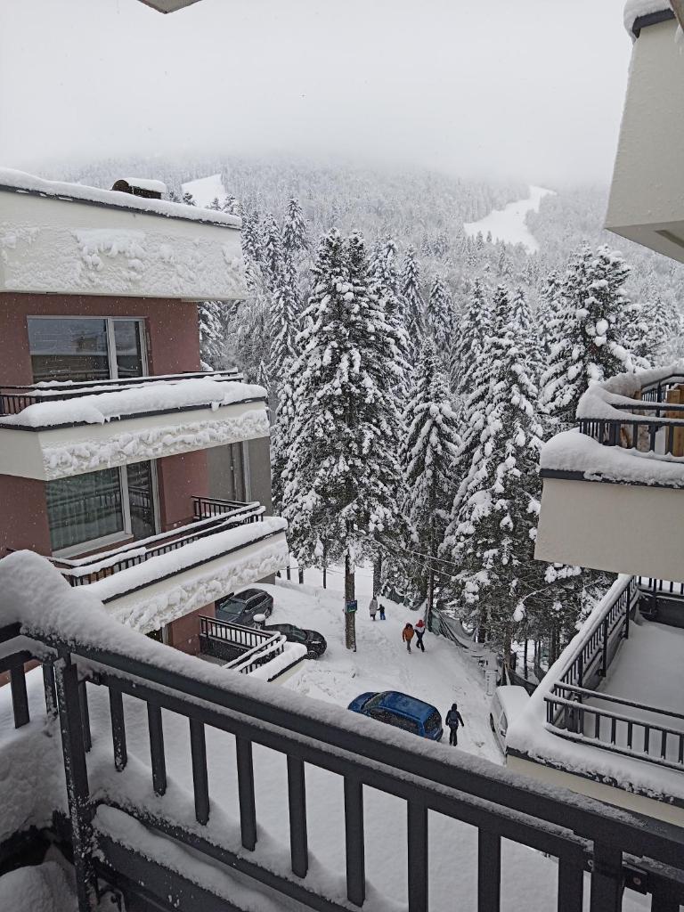 Apartman Bijela Bjelašnica photo 2