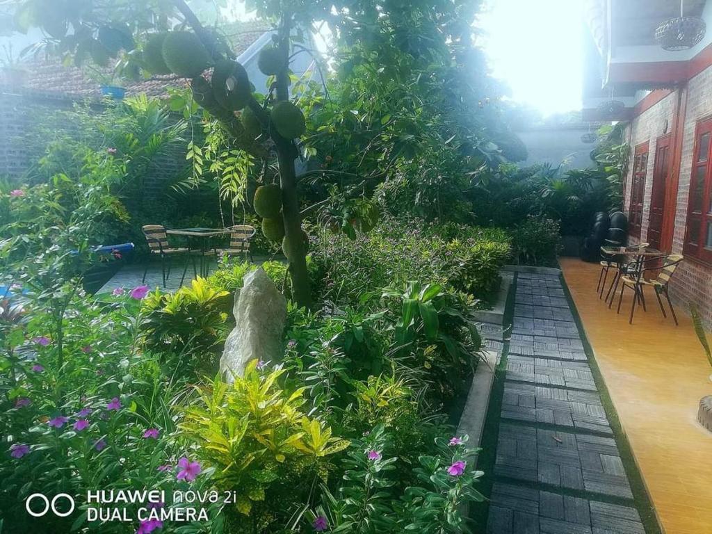 Tam Coc Quoc Seng Homestay