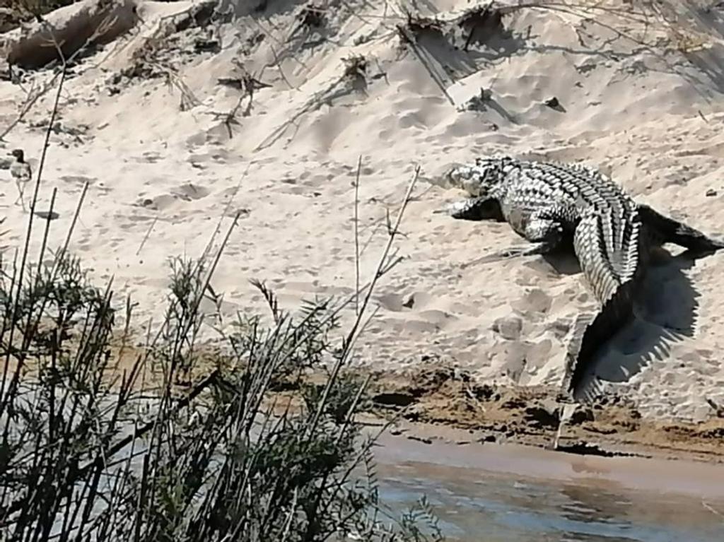 Camp Hogo Kavango photo 1