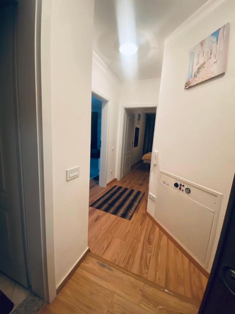 1 Bedroom flat photo 2