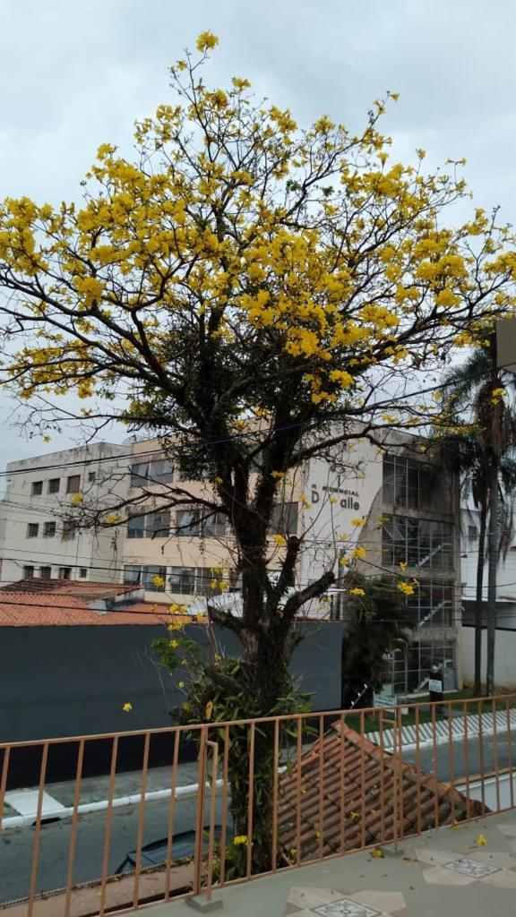Casa residencial no centro de Guaratinguetá photo 1