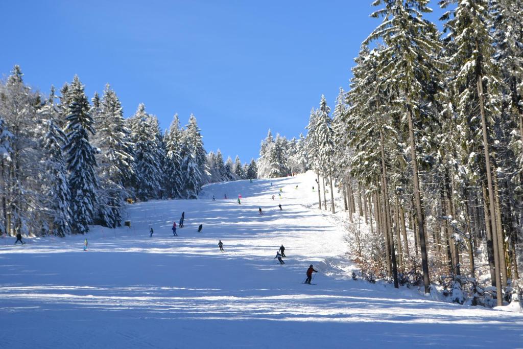 Skiapartma - Říčky v Orlických horách photo 3