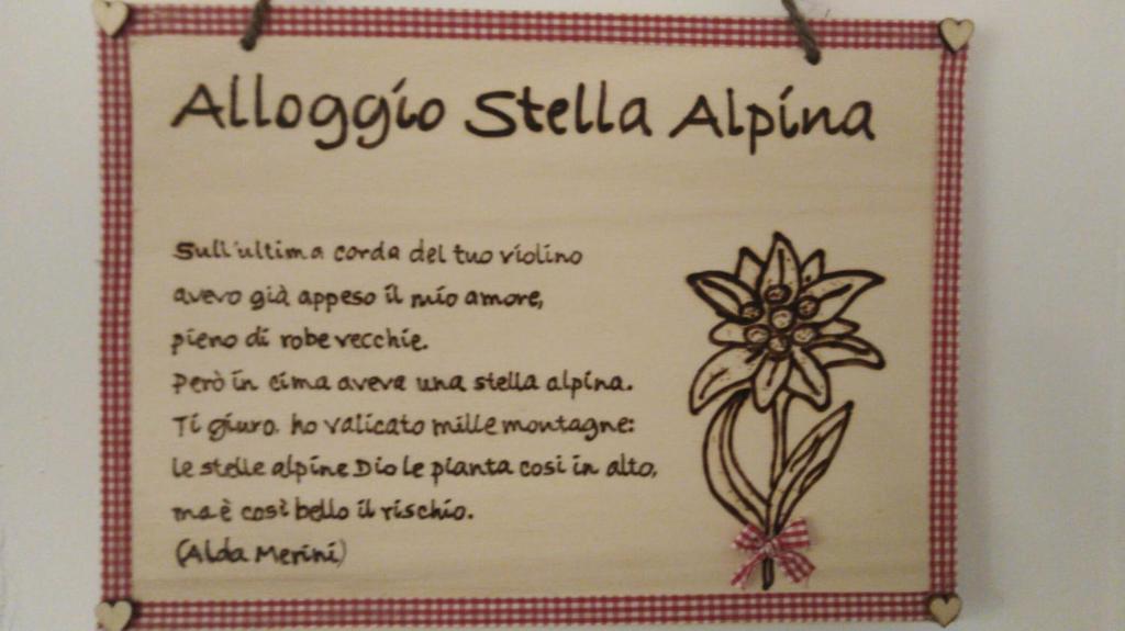 B&B IL VECCHIO LUPO photo 2
