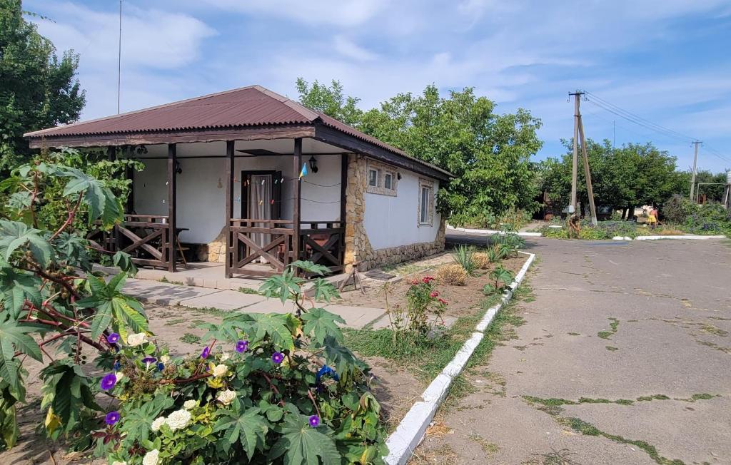 Київська Чайка Коблево