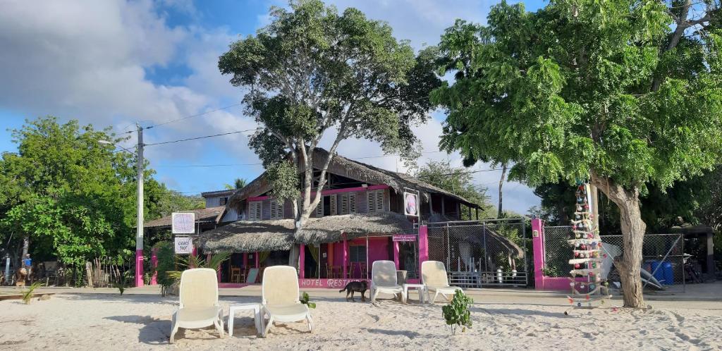 Tropic ecolodge photo 1