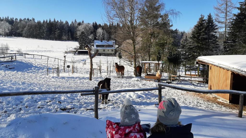 "Sporthütten Nassau" Ihr zentrales Domizil an der Blockline photo 4