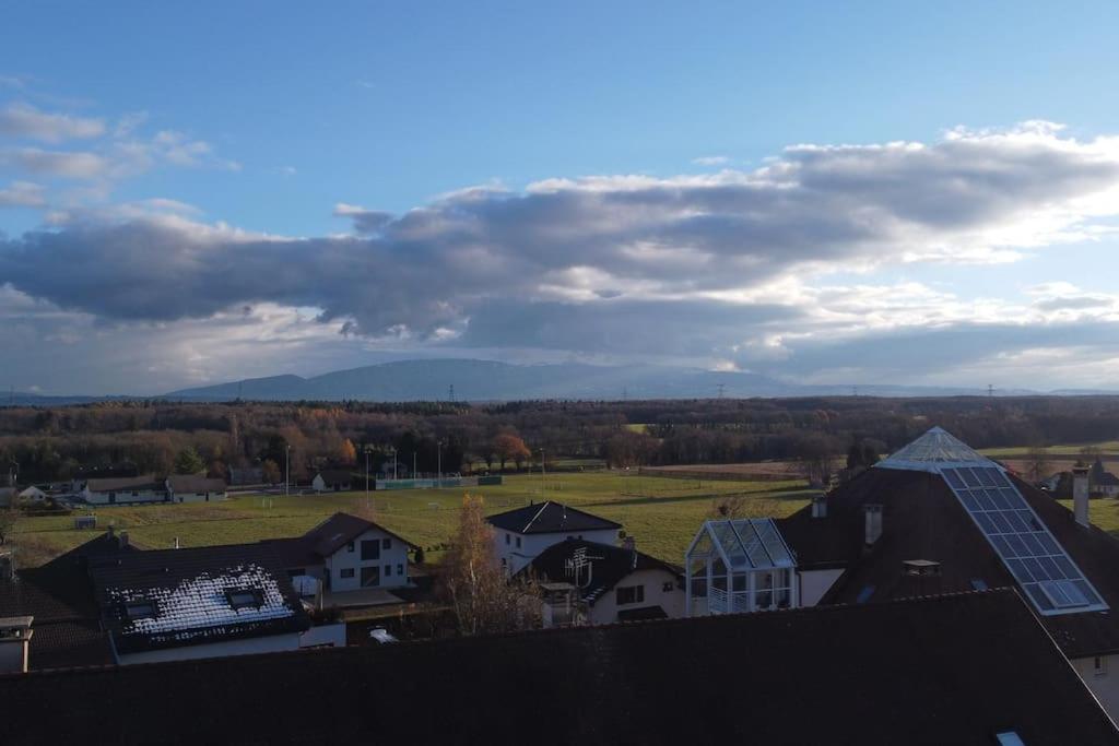 Charming Lux Apart-triplex 15 min from Geneva photo 3