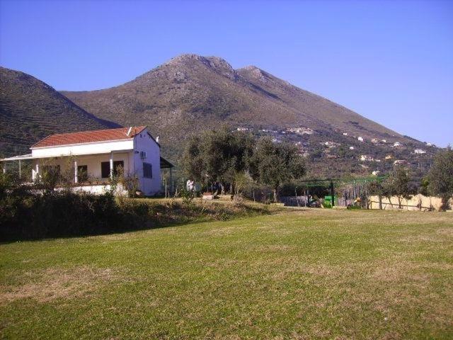 AZIENDA AGRICOLA 25 PONTI photo 1