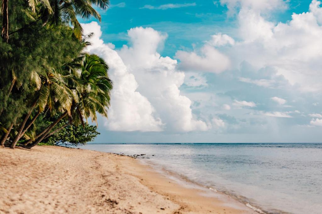 Arcadia Retreat Rarotonga photo 4
