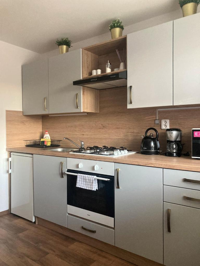 Apartmán Staňkov photo 2