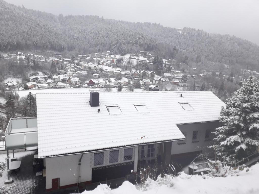 Ferienwohnung in ruhiger Waldrandlage photo 2