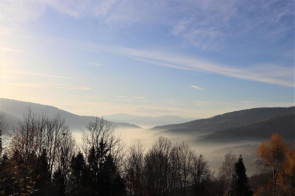 Domek na Hrobaczej photo 1