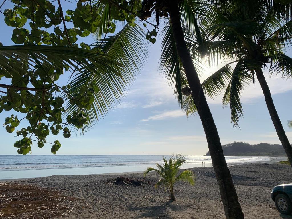 Beach Front Bahia photo 2
