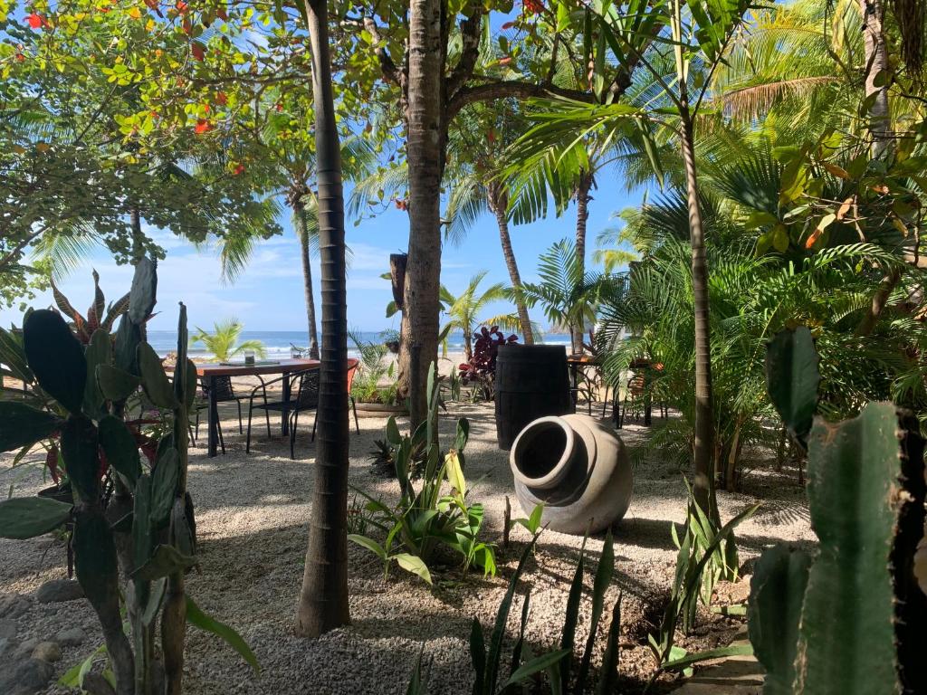 Beach Front Bahia photo 4