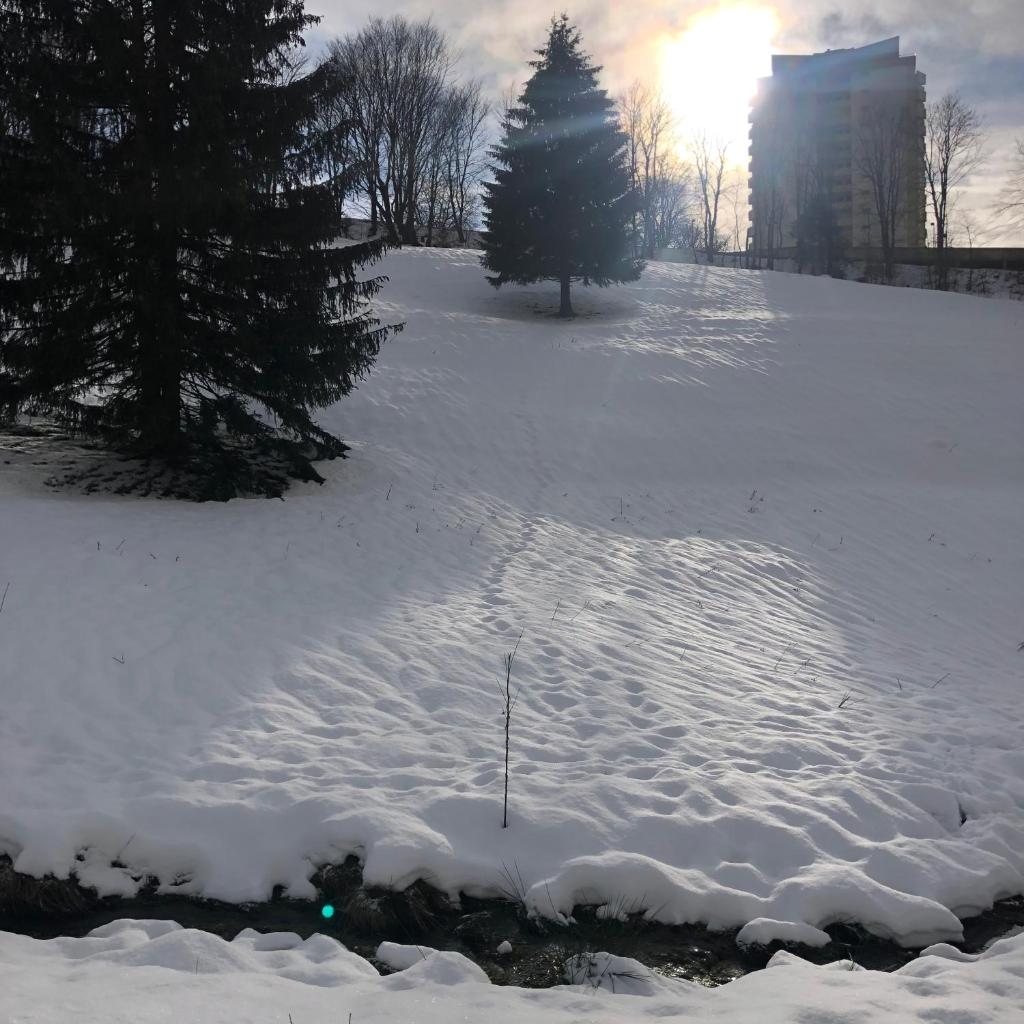 Pano Hohegeiß App 363 mit Wlan photo 2