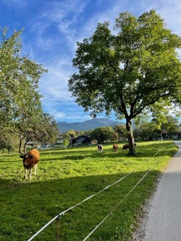 Ferienwohnung Florina photo 2