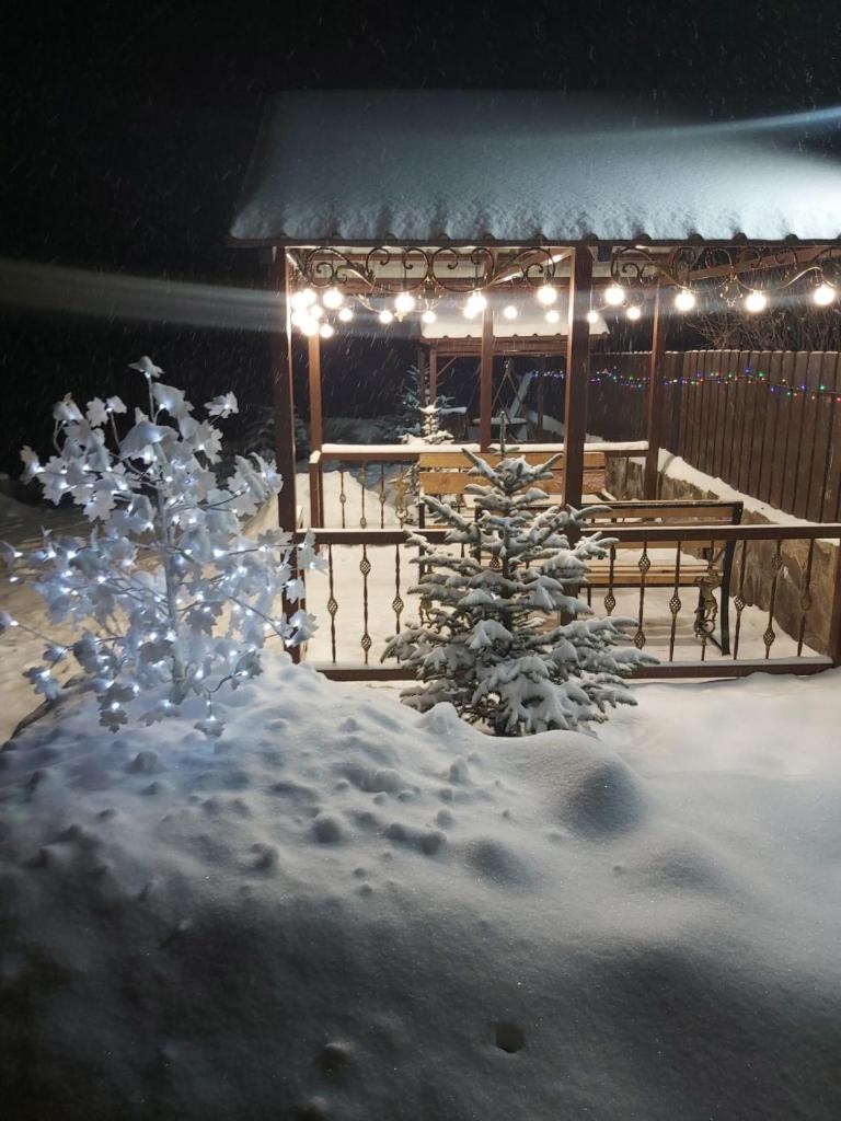 Konstantine's Chalet photo 3