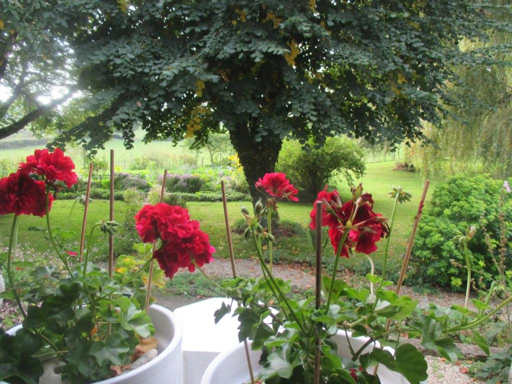 La Maison près du ruisseau photo 4