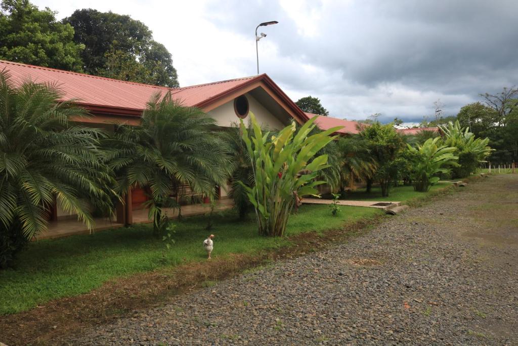 Hotel SueñoReal RioCeleste photo 2