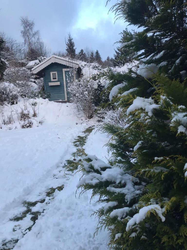 Schönwald Waldchalet am Musenberg photo 1
