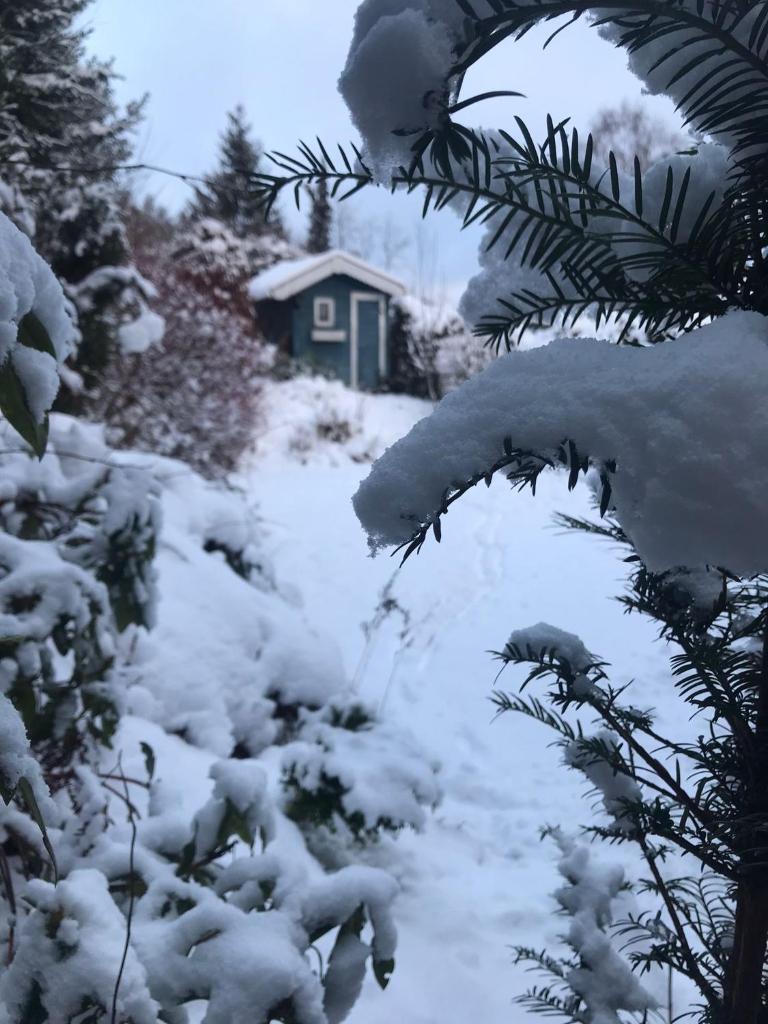 Schönwald Waldchalet am Musenberg photo 3
