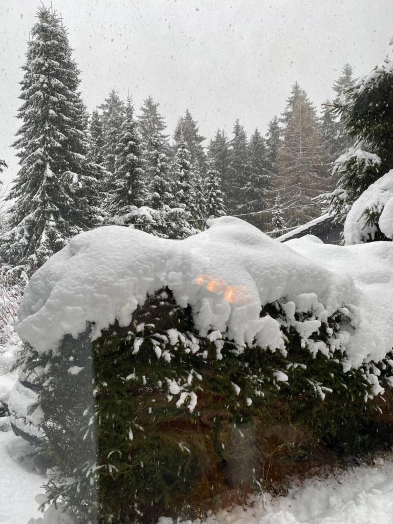 Schönwald Waldchalet am Musenberg photo 4
