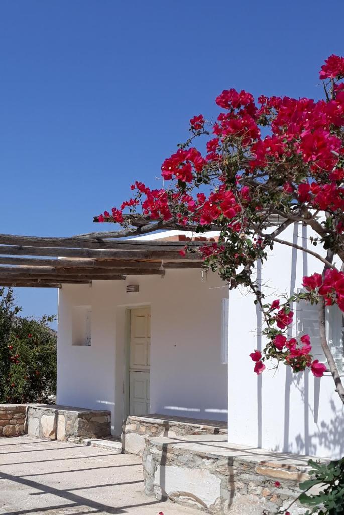The Artists House - Traditional Home