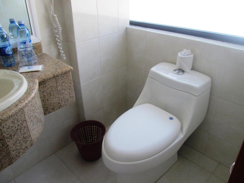 Двухместный (Двухместный номер с 1 кроватью), Hotel Premier