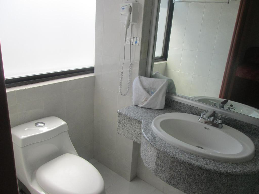 Двухместный (Двухместный номер с 1 кроватью), Hotel Premier