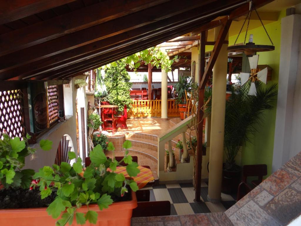 Guest House Rosa photo 4