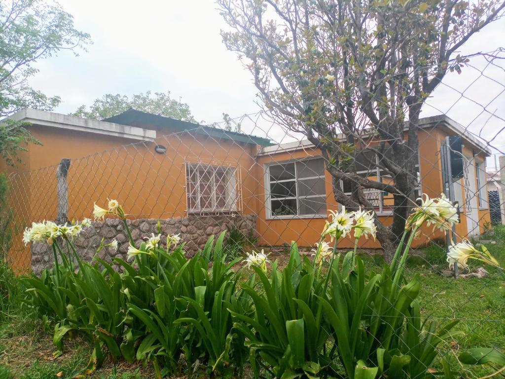 Hosteria Nuevo Sol photo 3