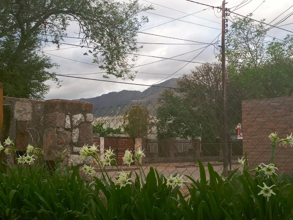 Hosteria Nuevo Sol photo 4