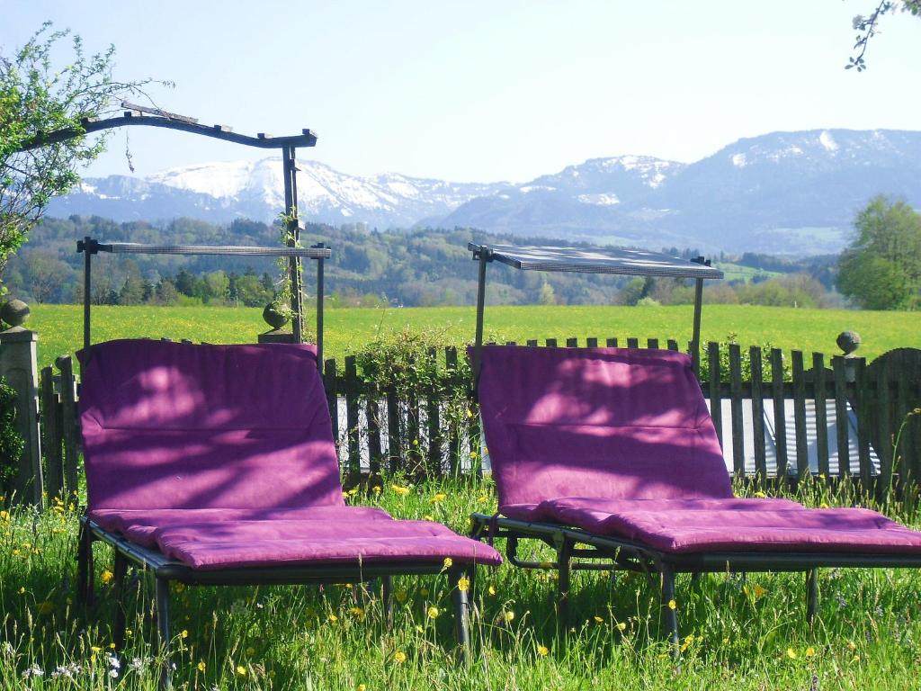 Pichler Roswitha photo 1