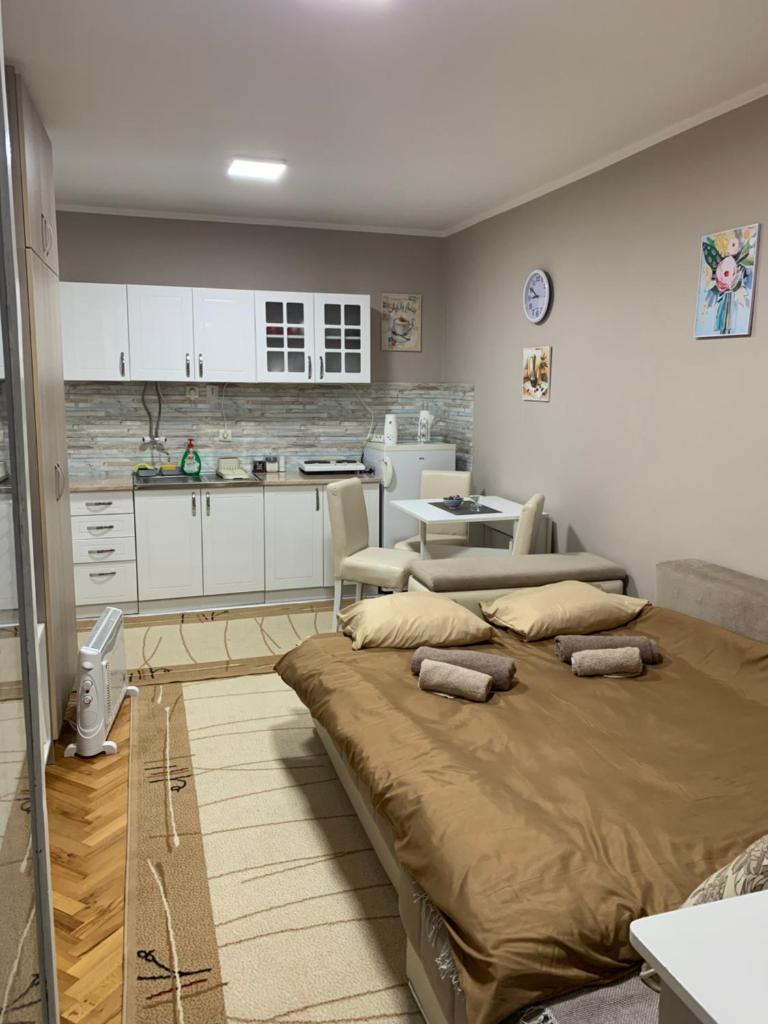 Apartman Djuric Paracin photo 1