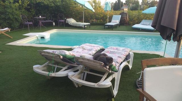 La Bastide Neuve des Oliviers photo 2