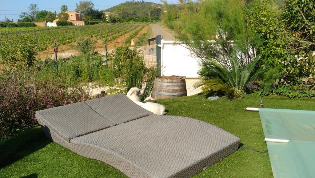 La Bastide Neuve des Oliviers photo 1
