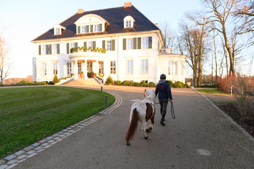 Hotel Gut Immenhof photo 3