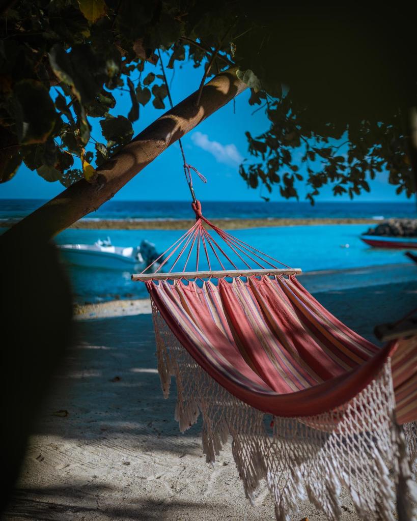 Summer Vibes Beach Front photo 1