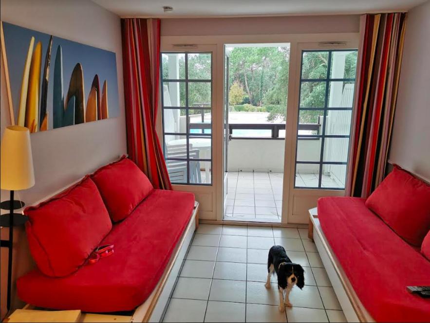 Great condo between golf course and beach photo 2