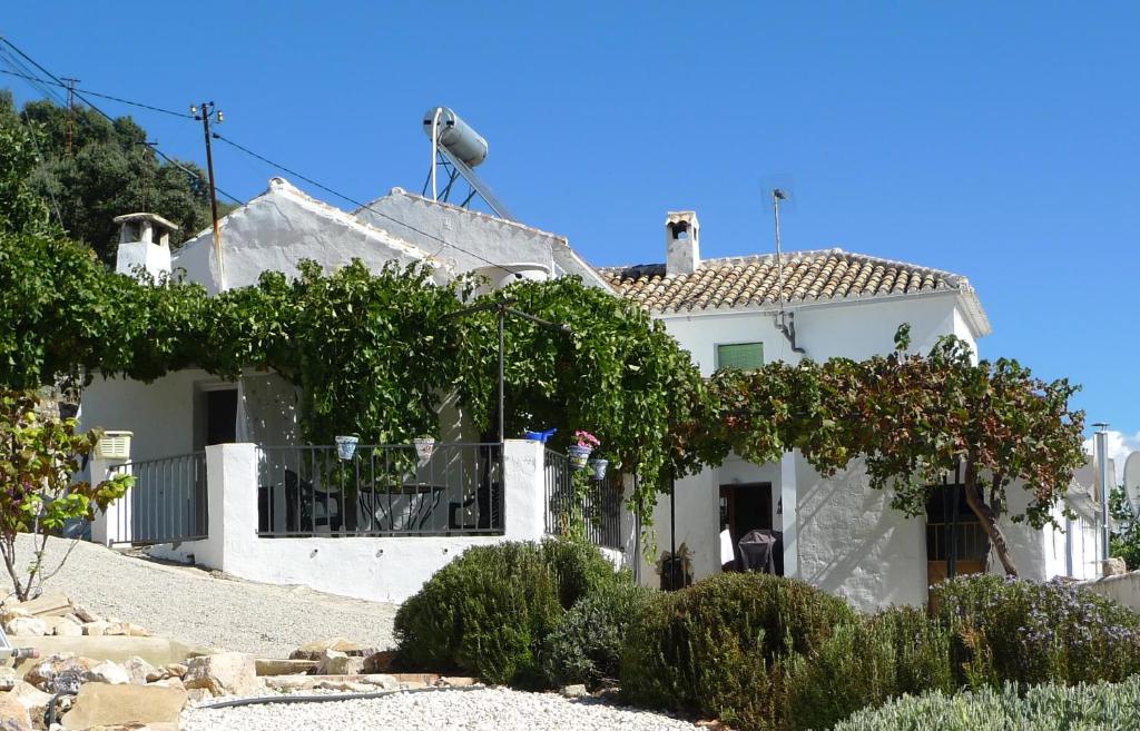 Casa del Pino photo 1