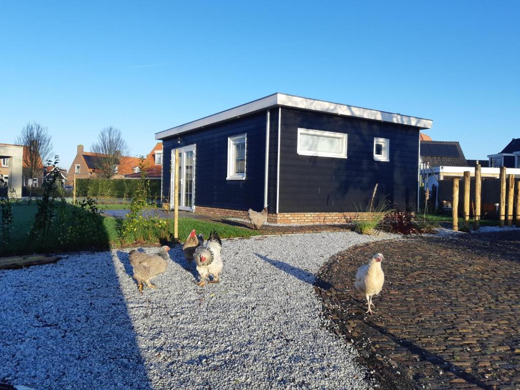Recreatiewoning Den Hollander photo 4