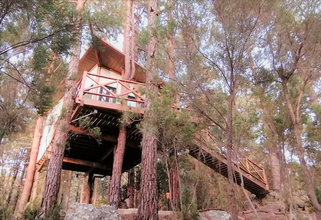 Casita colgada "Can Lia" photo 2