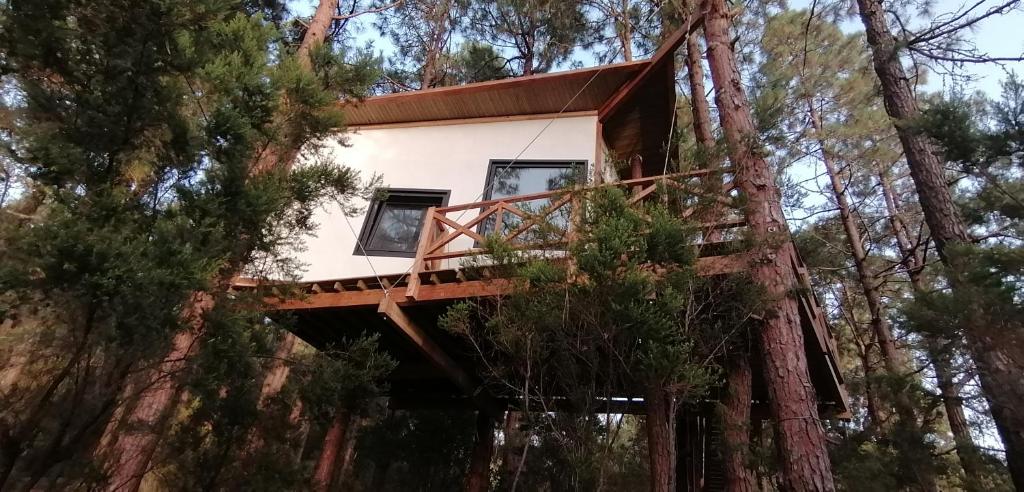 Casita colgada "Can Lia" photo 3