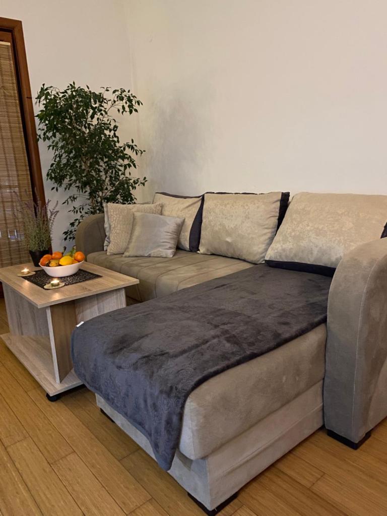 Ivy Apartment photo 1