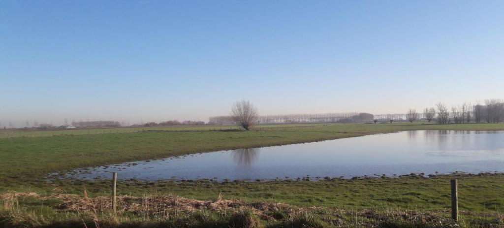 B&B De Hemelse Polder photo 1