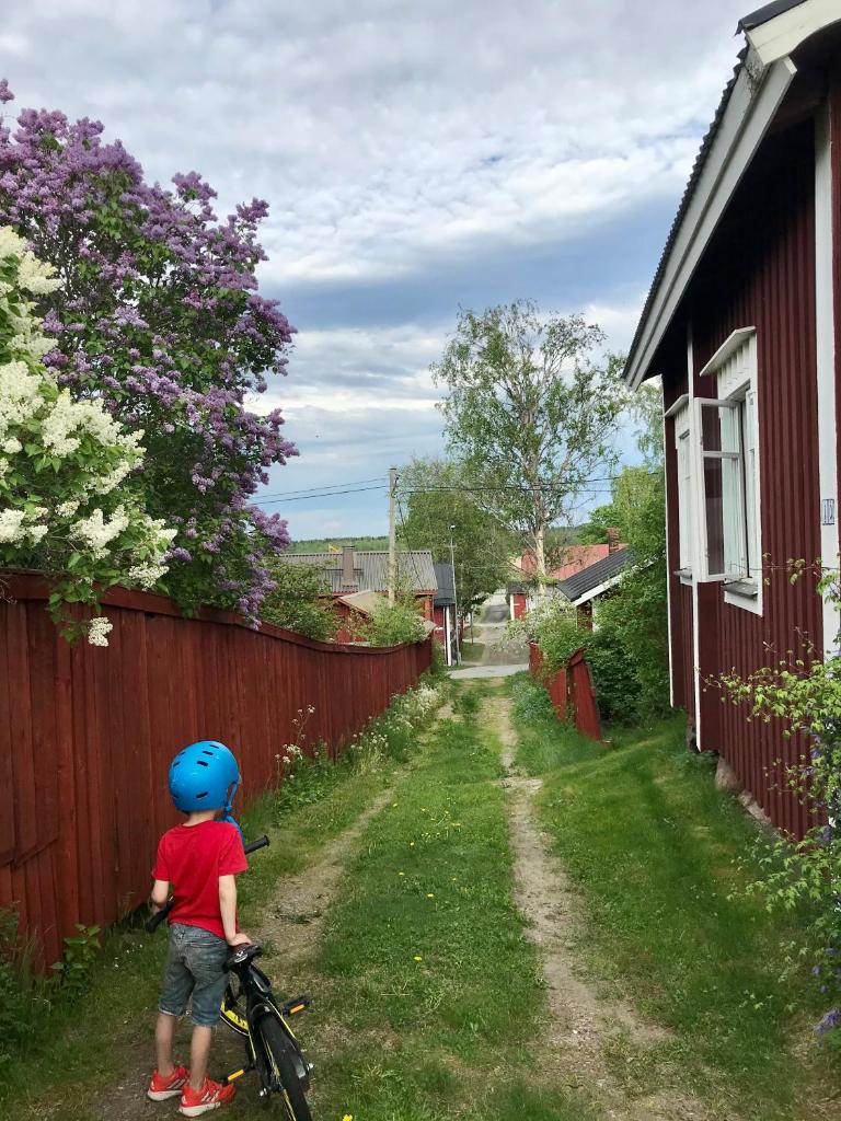 Citymökki photo 2