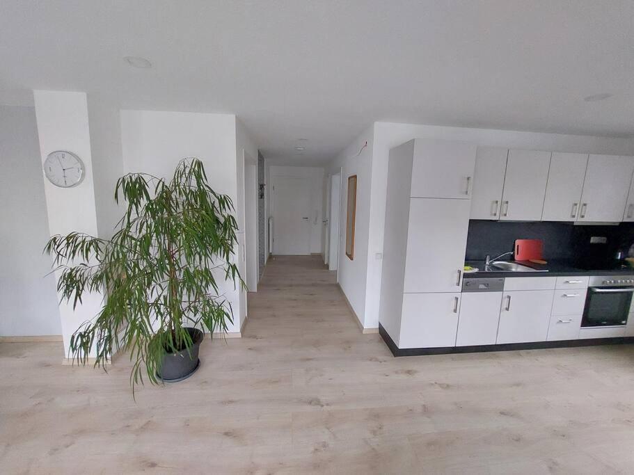 Ferienwohnung Königsquelle photo 1