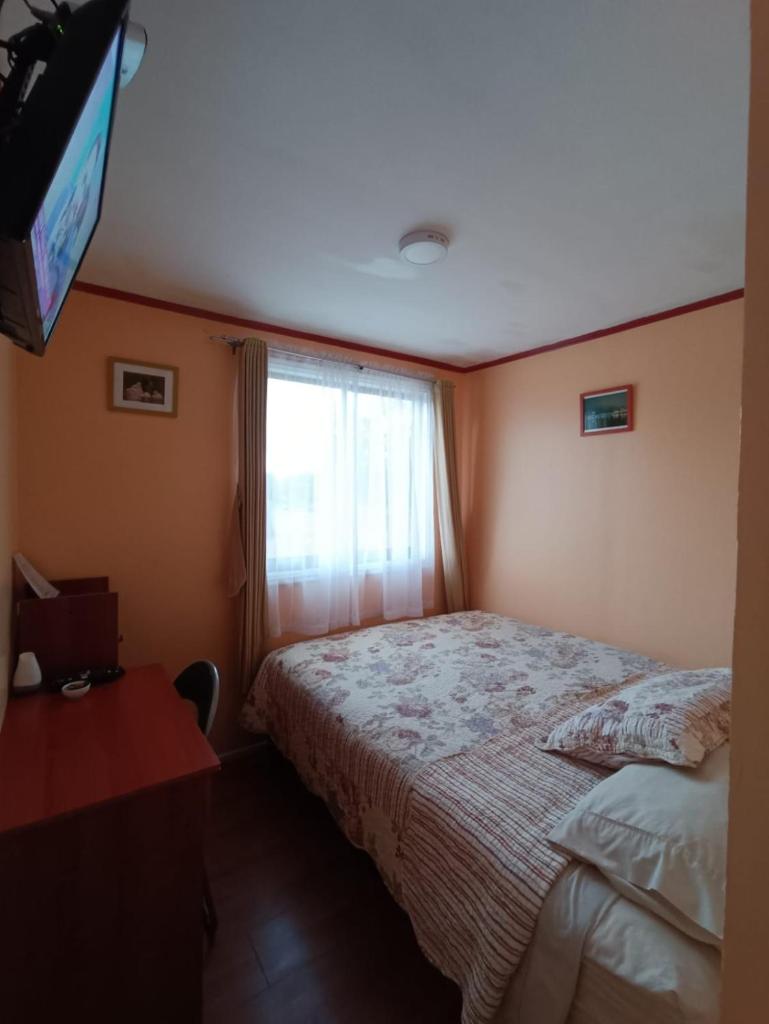 Bosque Valdiviano Apartment photo 4