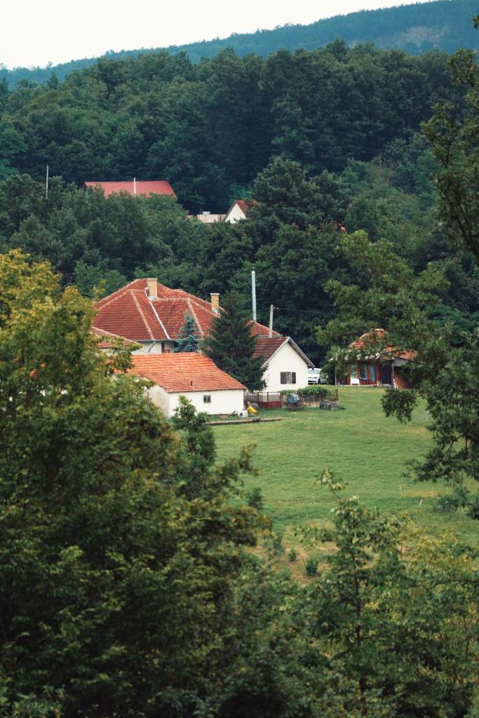 Kačara Vodeničko brdo photo 3